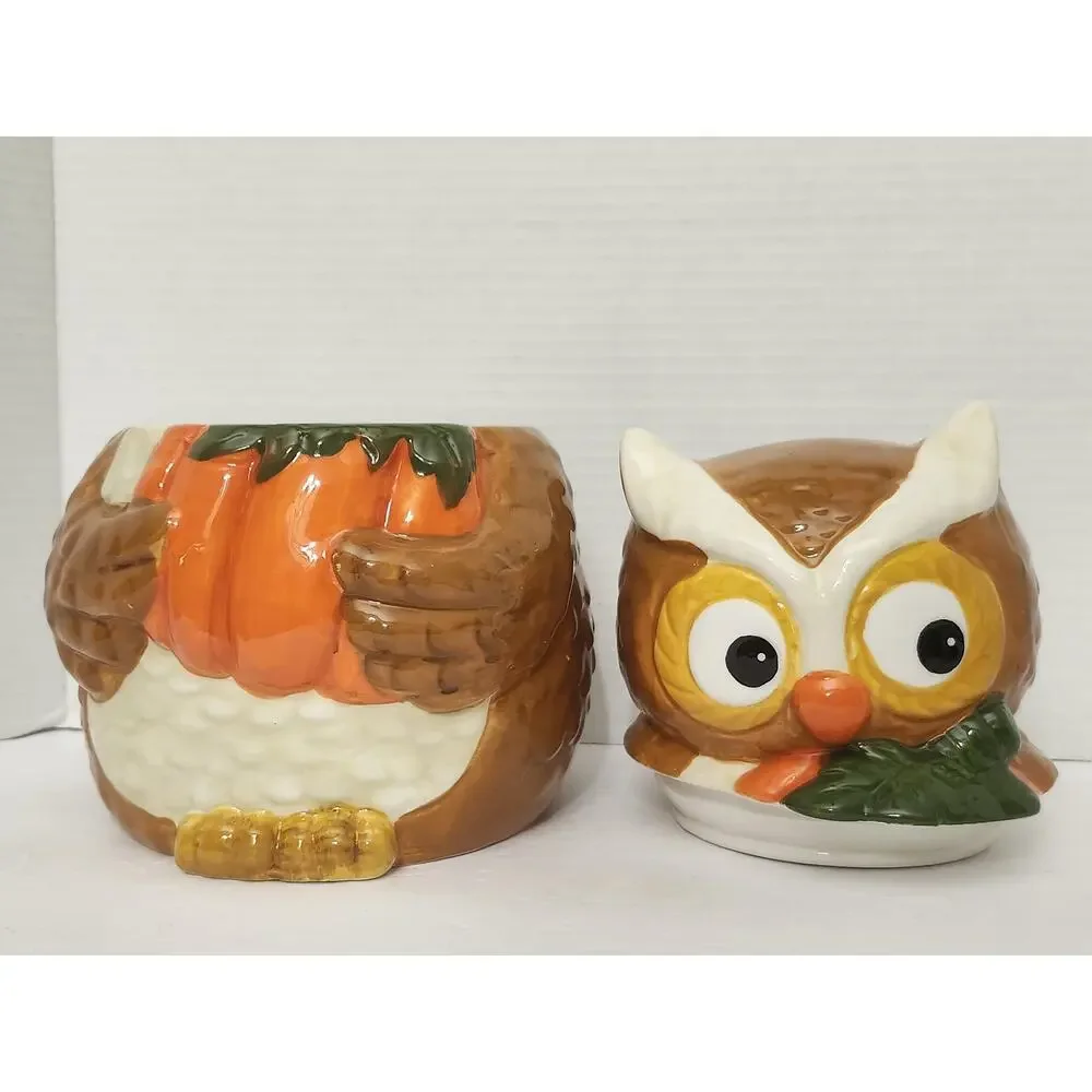Autumn Owl Holding Pumpkin David's Cookies Ceramic Cookie Jar